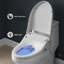 Bidet de siège de toilette intelligente Vivante