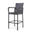 Tabouret de bar Littleton-1566908191