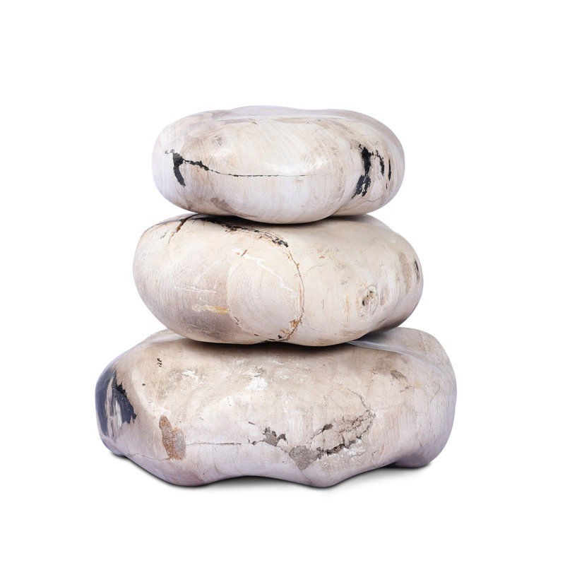 Petrified Wood Organic Sculpture, Light Brown