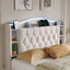 Upholstered Velvet Bed-370658416-370658418