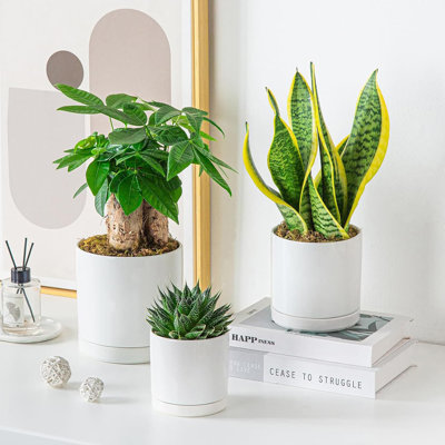 Ceramic Pot Planter