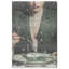 Forest Feast Canvas Fashion Print by Oliver Gal, Black Frame, 10 x 15-1428173851-1524009948