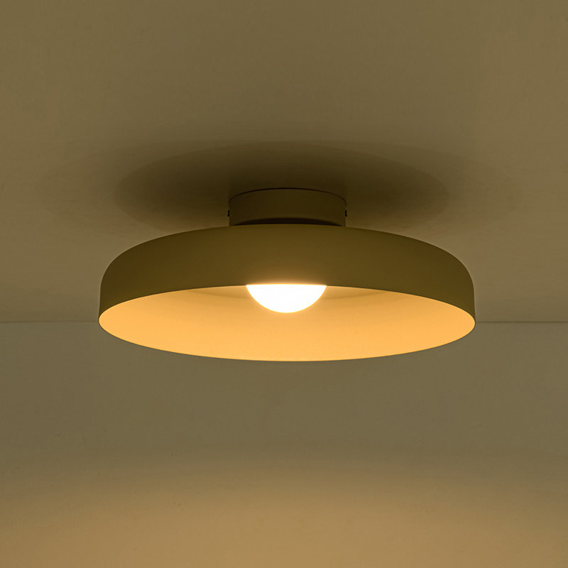 Dimmable 1-light Led Metal Flush Mount Ceiling Light