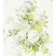 Flora Sybilla Bouquet Fabric