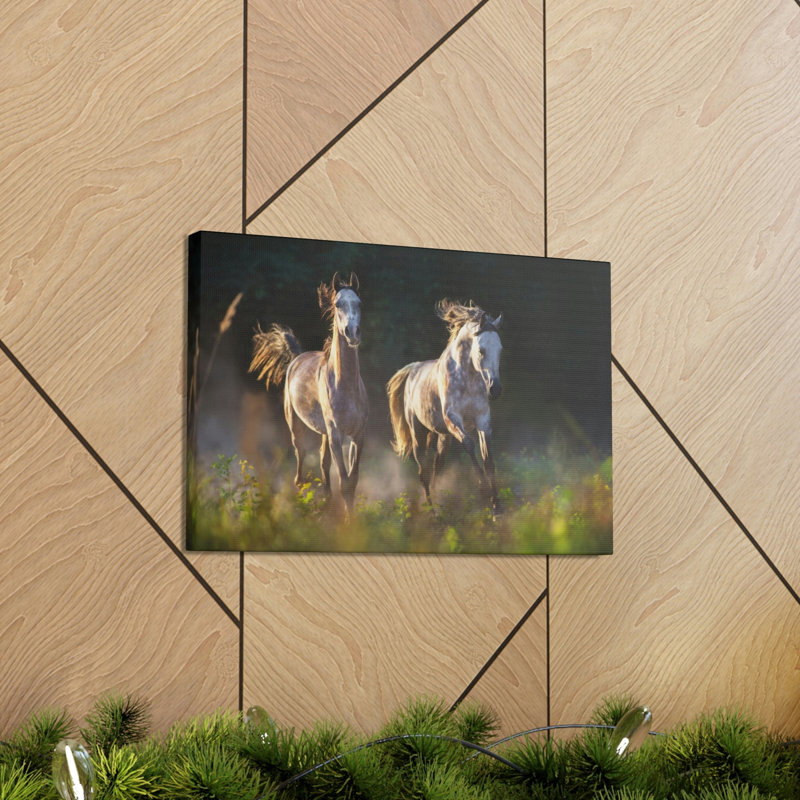 No Frame Print on Canvas, 30.48cm H x 45.72cm W