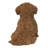Baby Cavapoo-67579694