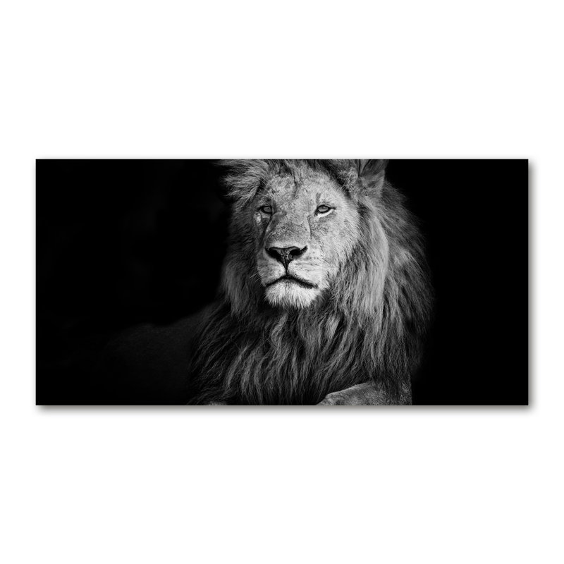 Lion - No Frame Print on Canvas