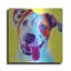 «Pit Bull - Elphaba» par Dawg Painter-1084772957