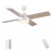Jarif 44'' Ceiling Fan with LED Lights-322044301-322044302