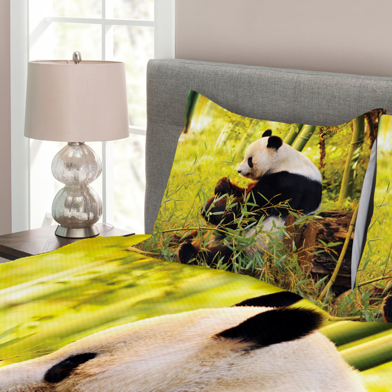 Green/Black Microfibre Bedspread Set, 220 x 264 cm