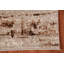 Transitional Oriental Rug 4x6