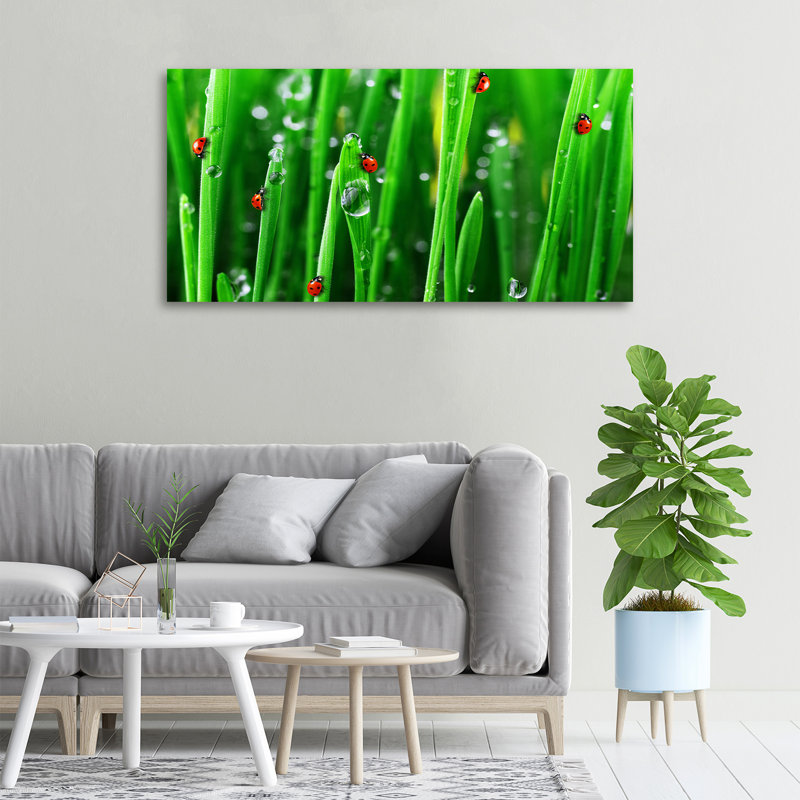 Ladybugs On The Grass - Wrapped Canvas Print
