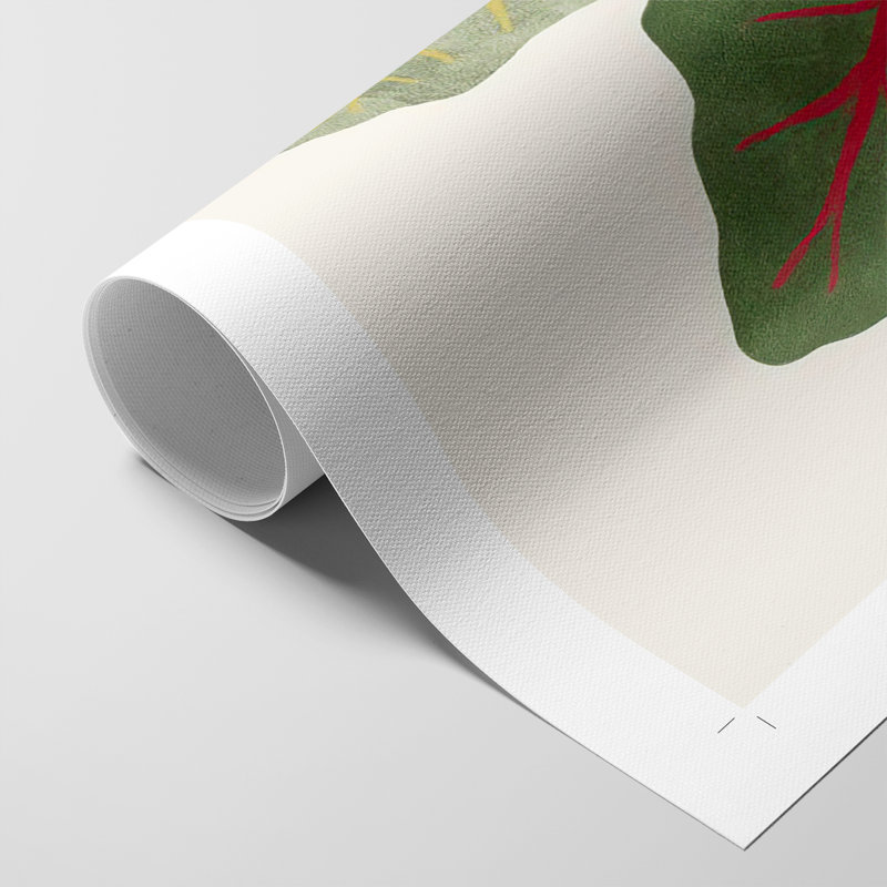 Organic Veg V - Impression sur toile seulement - NON-CADRE, H 18 po x l 12 po