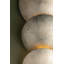 REEF Wall Sconce