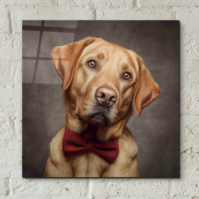 Art mural en verre épique «Labrador Retriever In Bowtie» par Rich Monet, 12 po x 12 po