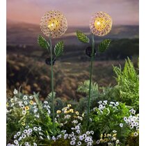 here's a line…  illuminated dandelion