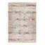 Memphis Oriental Area Rug-98419165