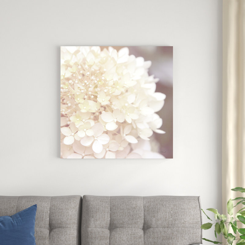 Hydrangea Dream I, H 30 po x l 30 po