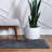 Indoor Rug-1268900540