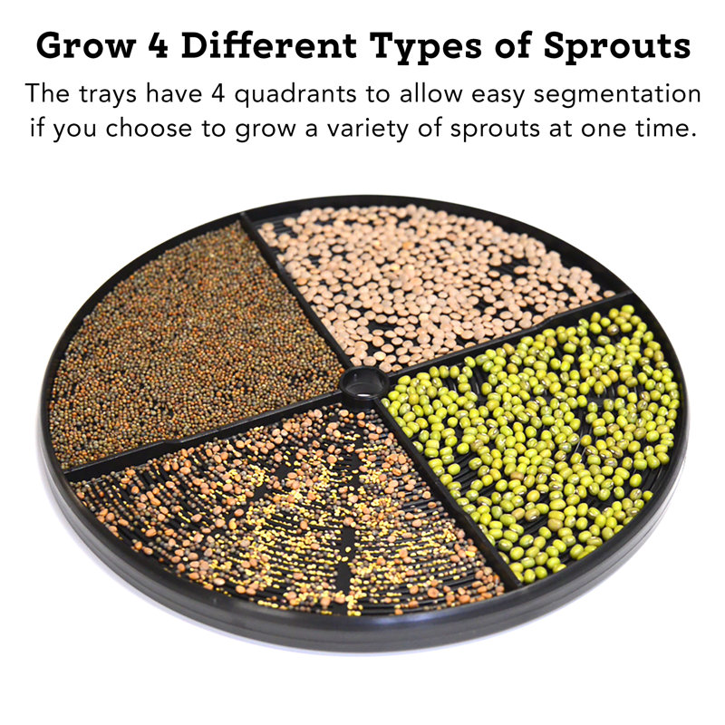 Tribest Hydroponic Unit Sprouts