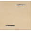 Ensemble de 2 chaises d'appoint Casual-1298074721