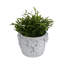 Motif floral en céramique Adeline Planter-1817239597-1817239599