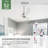 Casablanca 52 inch Eyla ENERGY STAR® Ceiling Fan and Wall Control and Handheld Remote-233191388