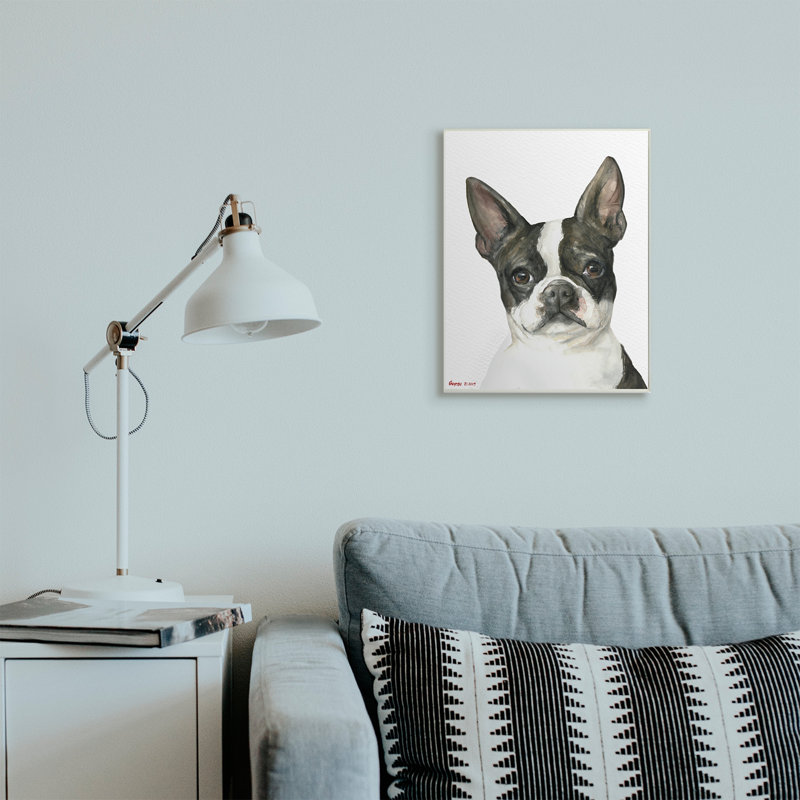 Curieux Boston Terrier Portrait, Toile tendue, H 30 po x l 24 po