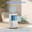 Dehumidifier
