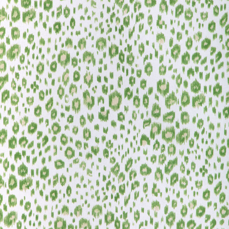 Leopardos, Aloe