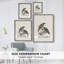 «Vintage Animal Print», reproduction encadrée en bois massif-1207535042
