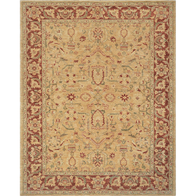 Agra Wool Oriental Indoor Rug