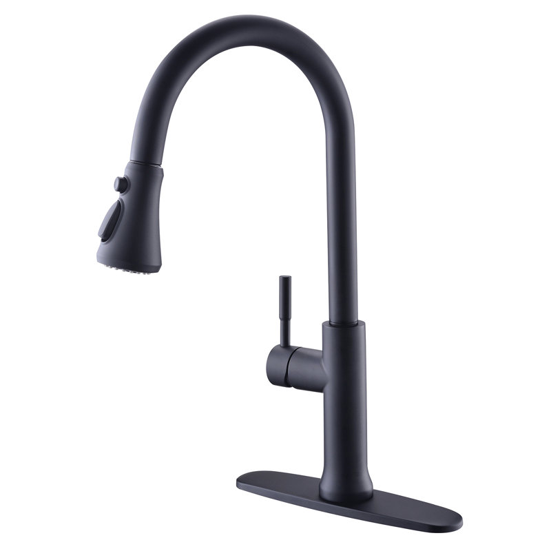 FLG Pull Out Kitchen Faucet