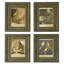 Collected Canary Vintage-Inspired Framed Bird Prints - Set of 4