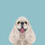 Cocker Spaniel, impression sur toile tendue-74755885-74755886-19741671