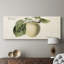 Botanical Series-CDXLIX- Toile tendue avec châssis - Prêt à accrocher-757967773