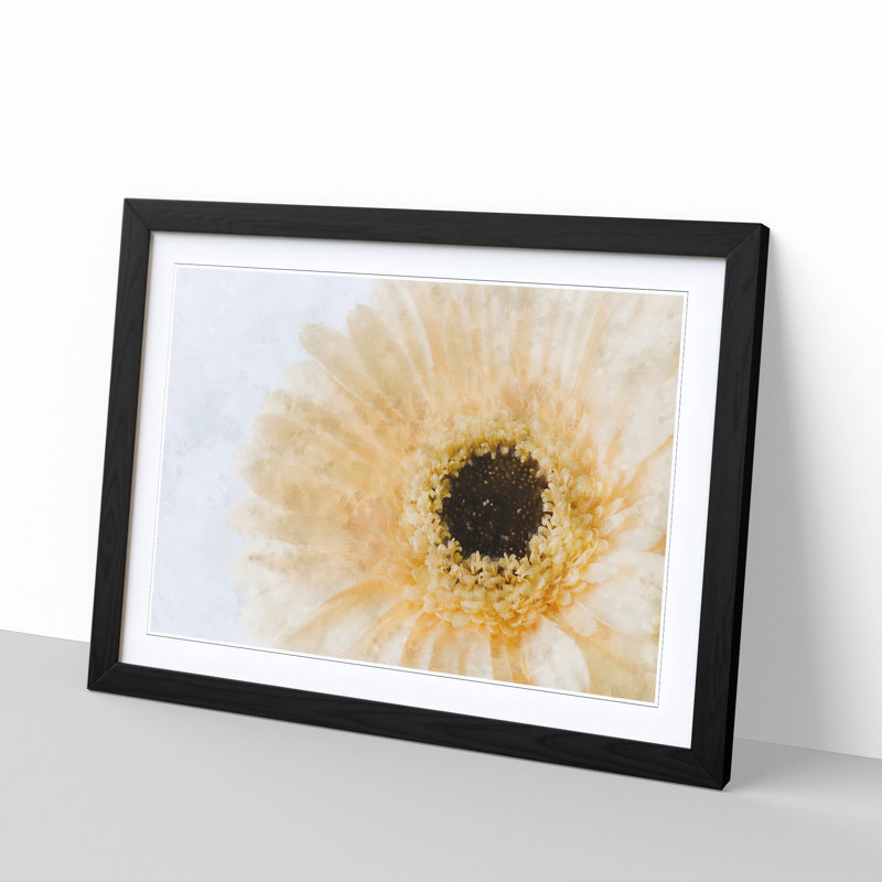 Pale Yellow Gerbera - Single Picture Frame Print on MDF, 62cm H x 87cm W x 2cm D, Black