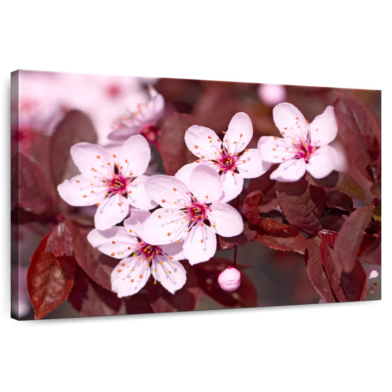 Fleurs de cerisier japonais Harnek, H 20 po x l 30 po