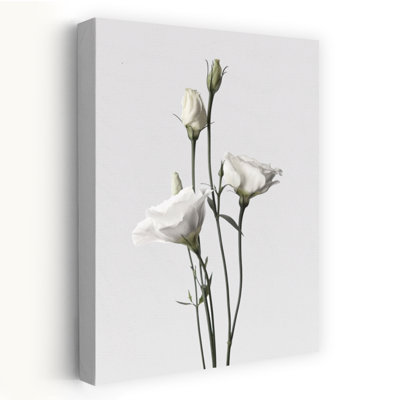 Lisianthus, art floral contemporain blanc