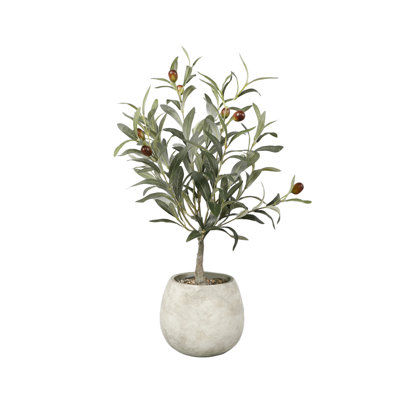 Kirby 21.25'' Faux Olive Tree Tree in Cement Planter