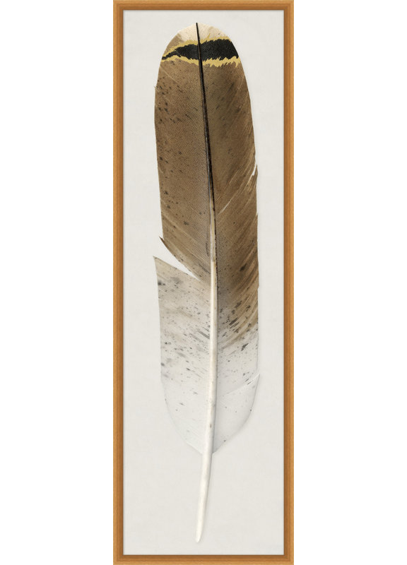 Feather 1 Print by Thom Filicia