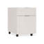 Alesio 2-Drawer Vertical File Cabinet