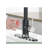 AvaMalis Pull Down Kitchen Faucet-100675619