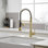 Pull Down Single Handle Kitchen Faucet with Accessories