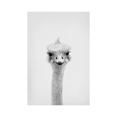 Autruche par Sissi & Seb - reproduction de photo