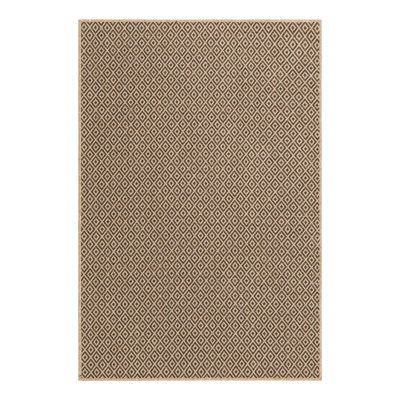 Geometric Indoor Rug