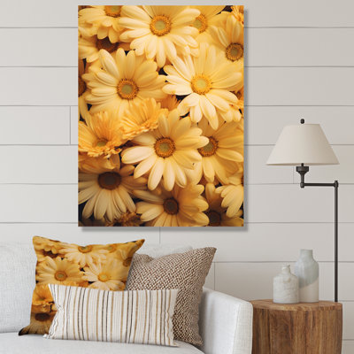 " Daisies Golden Daisies "