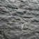 Fossil Rustic Random Sized Natural Sandstone Loose Veneer Ledgestone  (Minimum 100 Square Feet)
