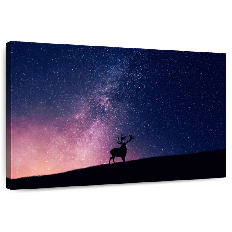Renne Alvord ciel nocturne, H 20 po x l 30 po