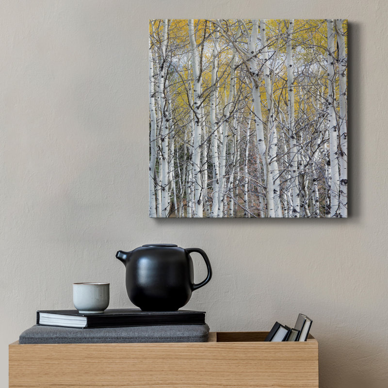 Mountain Aspen - reproduction de photo sur toile tendue, H 16 po x l 16 po x P 1 po